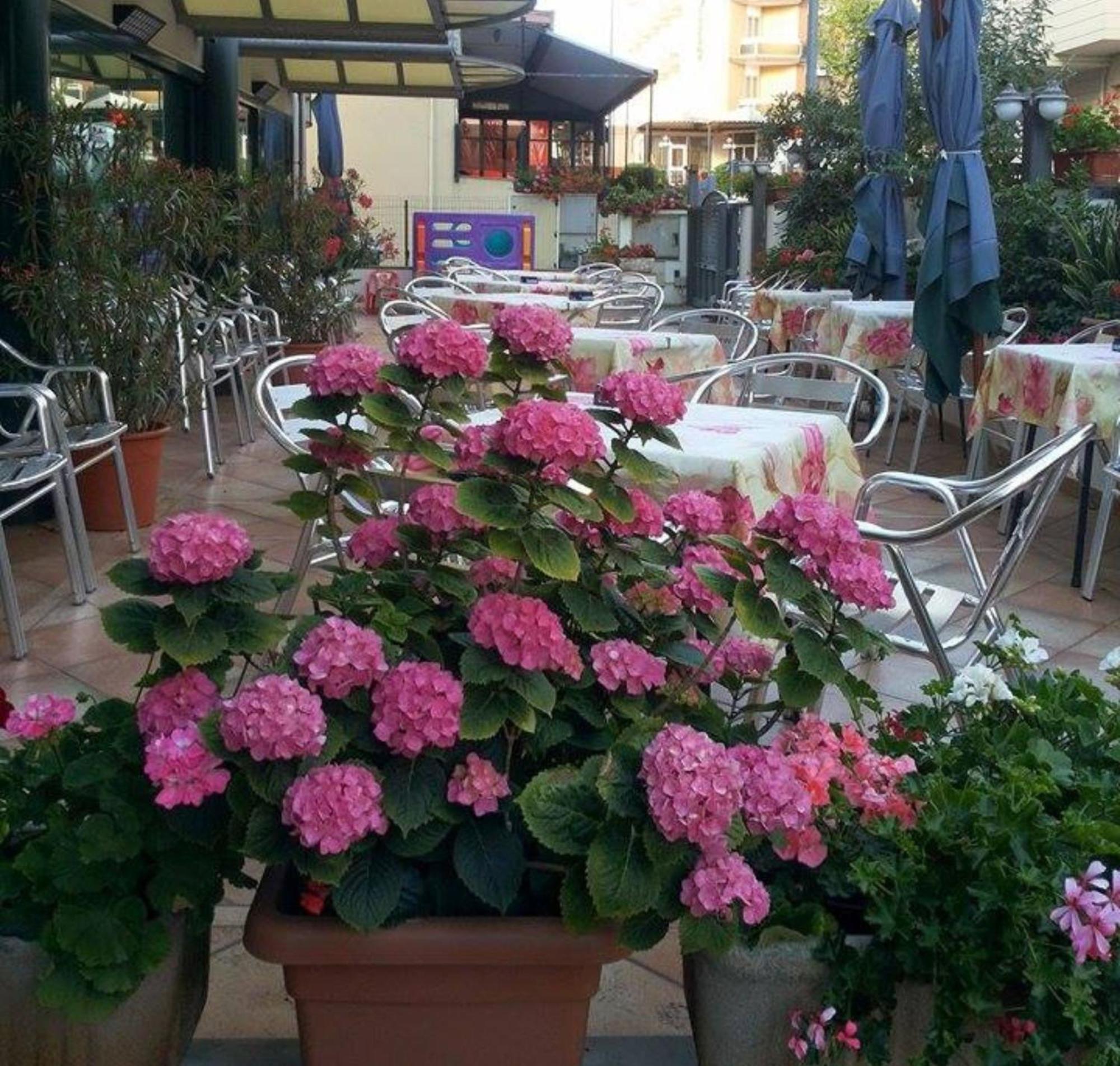 רימיני Hotel Caruso מראה חיצוני תמונה